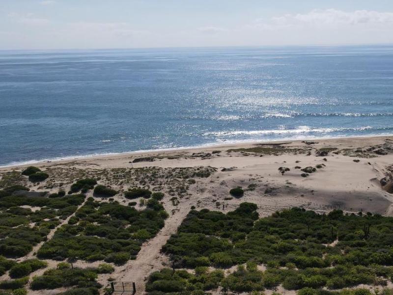 MLS #26-1280 image #0