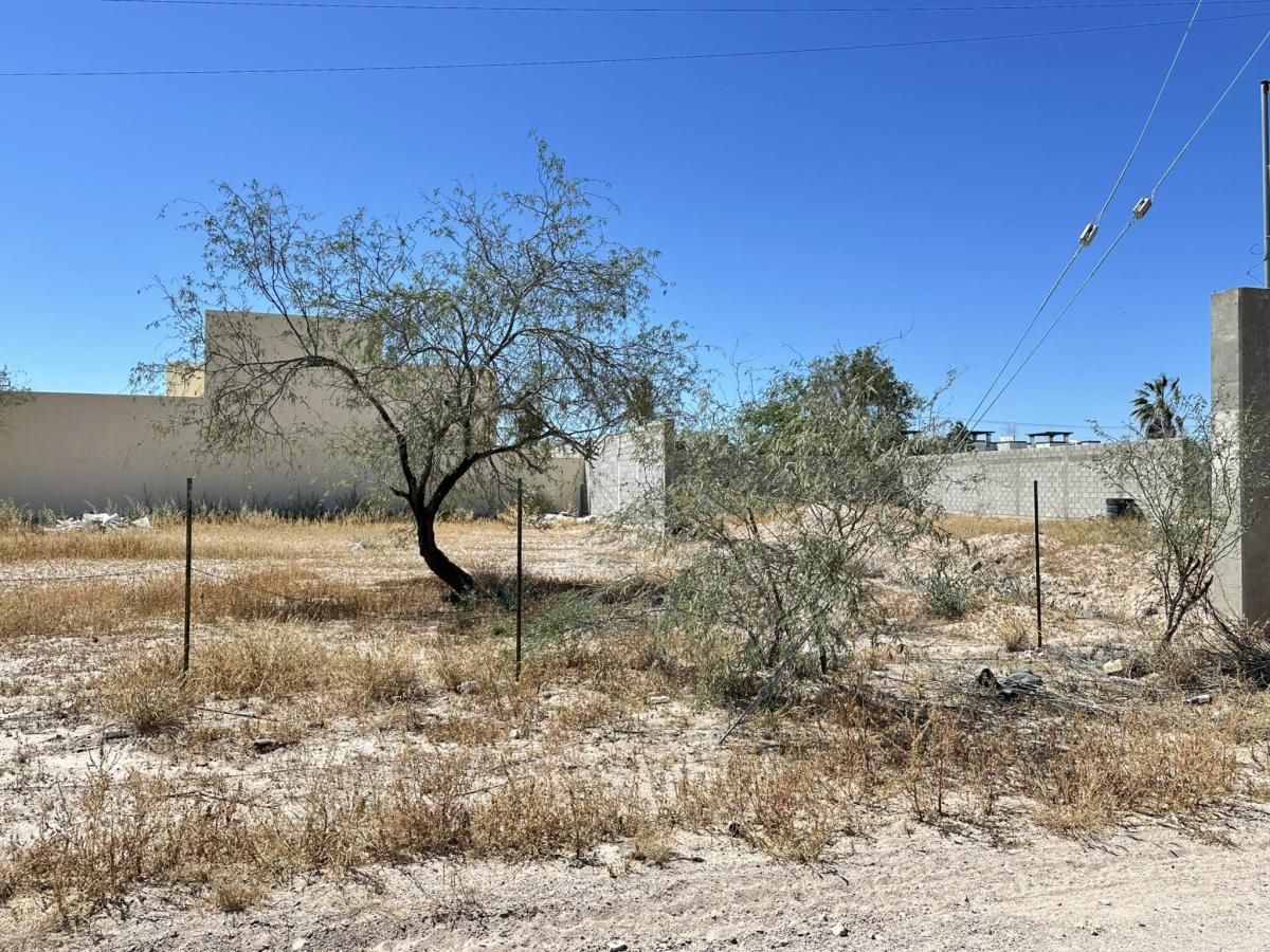 Baja California Residential lot Centenario La Paz BCS MLS #26-1285 41 MLS #26-1285 image #0