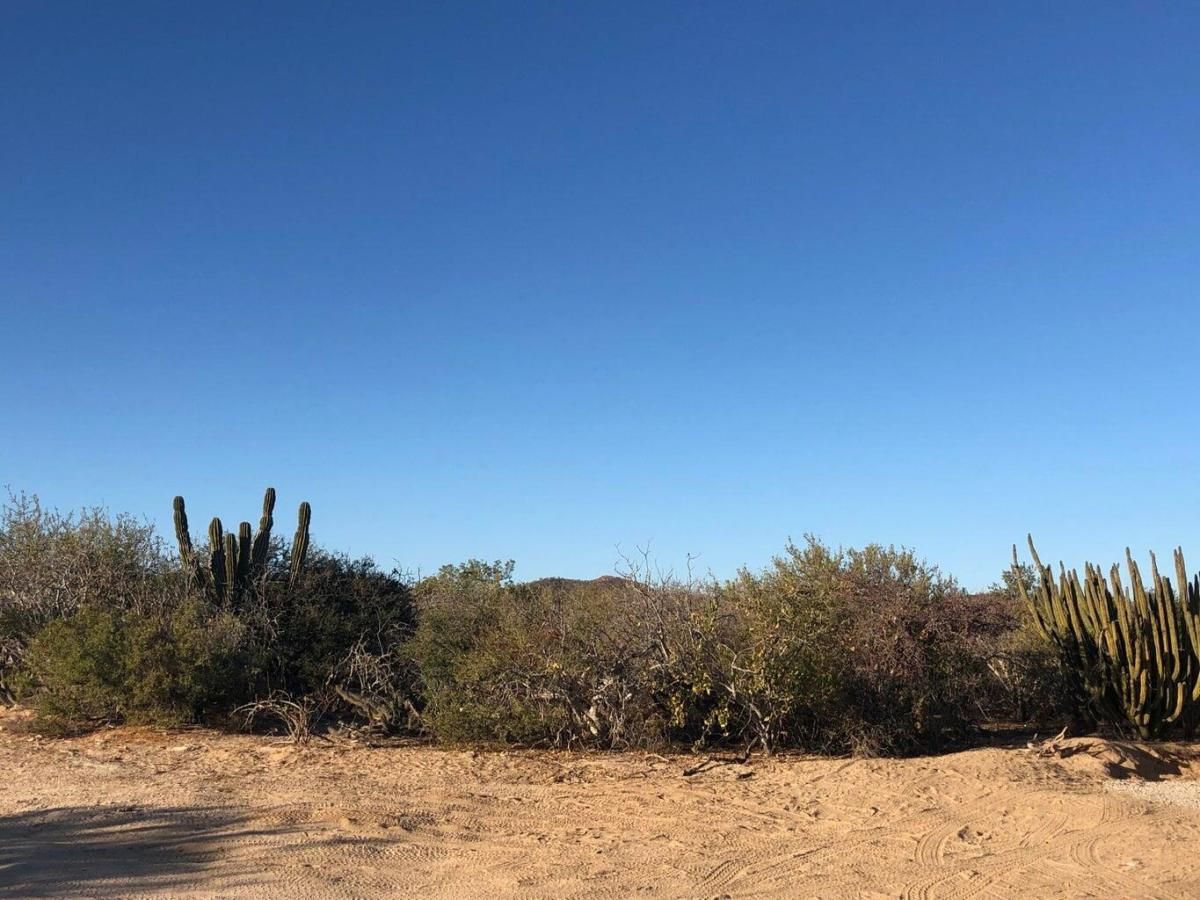 MLS #26-1286 image #0