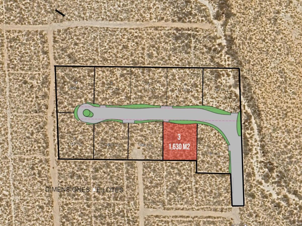 MLS #26-1287 image #0