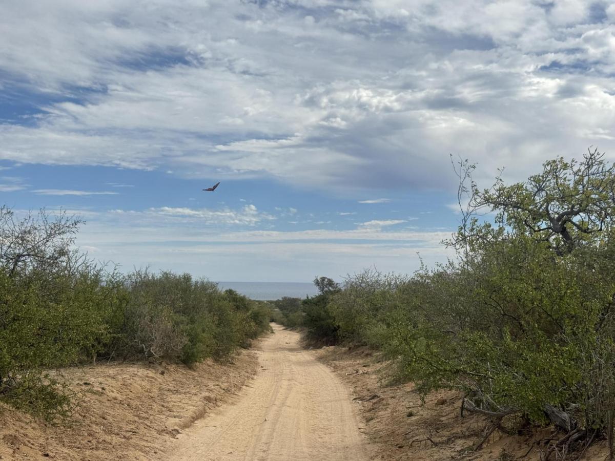 MLS #26-1299 image #0