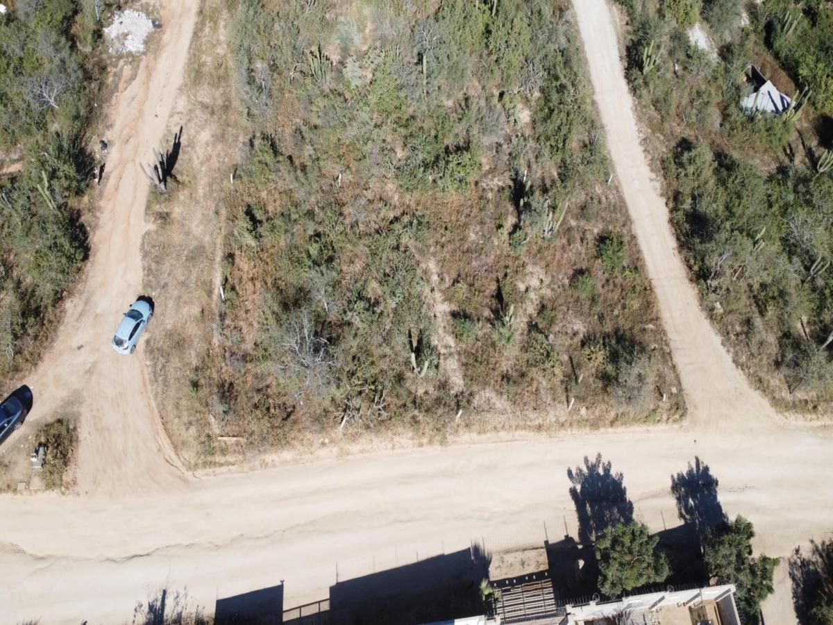 MLS #26-131 image #0