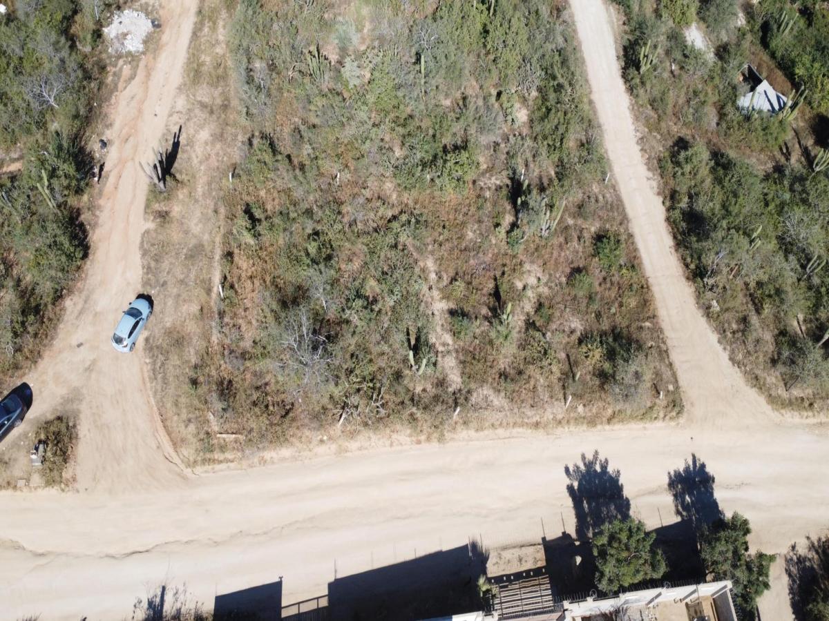 MLS #26-131 image #0