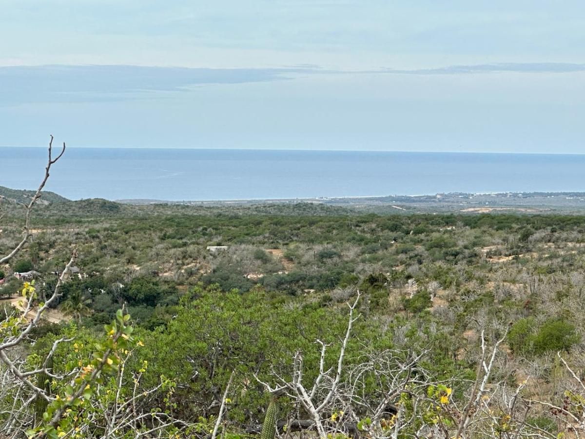 Lot 40 Matancitas Lot Matancitas Pacific BCS MLS #26-1317 15 MLS #26-1317 image #0