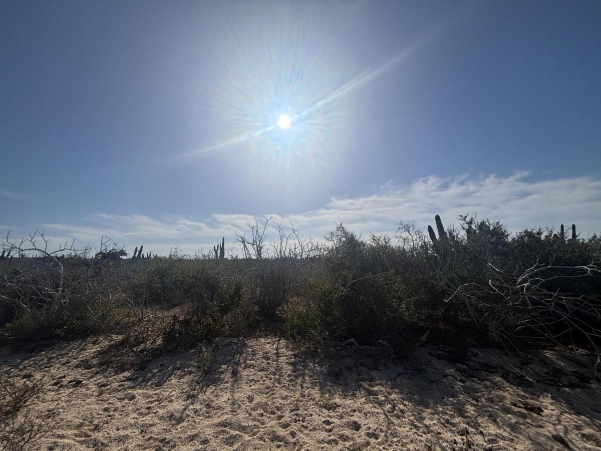 MLS #26-1328 image #0