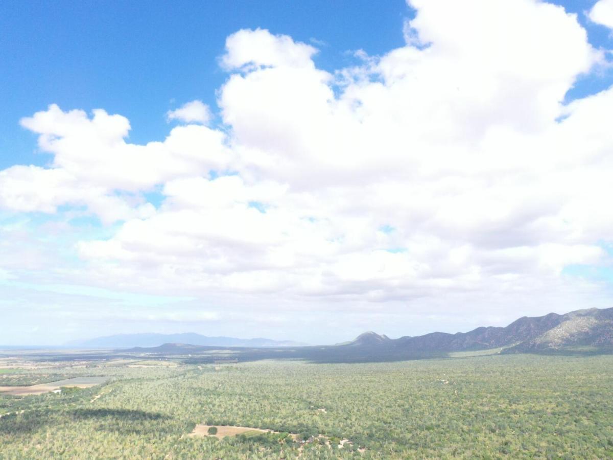 200 HA LAND LOS PLANES PALO VERDE La Paz BCS MLS #26-1334 25 MLS #26-1334 image #0