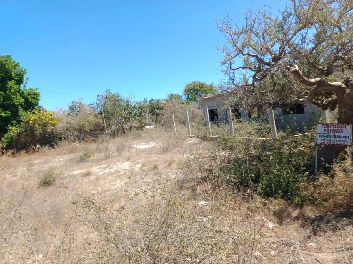 MLS #26-1339 image #0