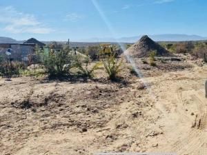 MLS #26-1367 image #0