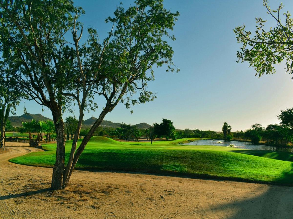 MLS #26-1403 image #0