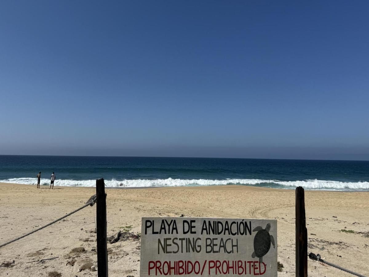 MLS #26-1408 image #0