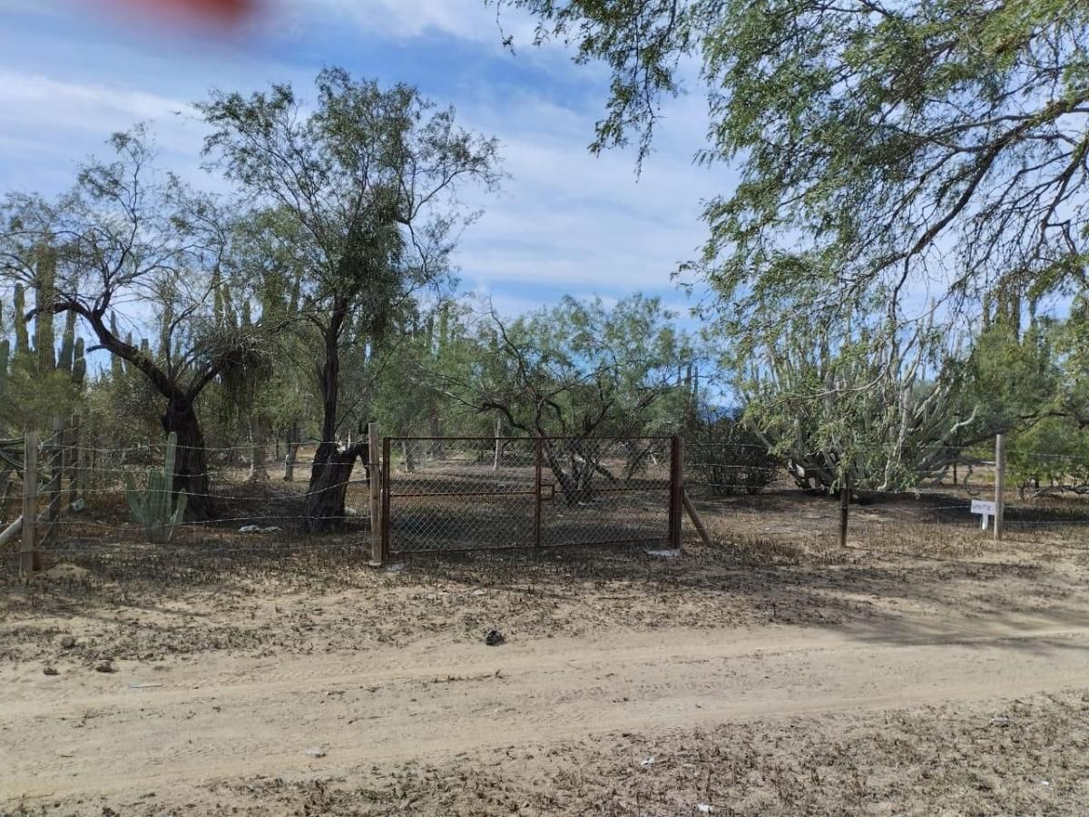 LAND IN AGUA AMARGA La Paz BCS MLS #26-1409 17 MLS #26-1409 image #0