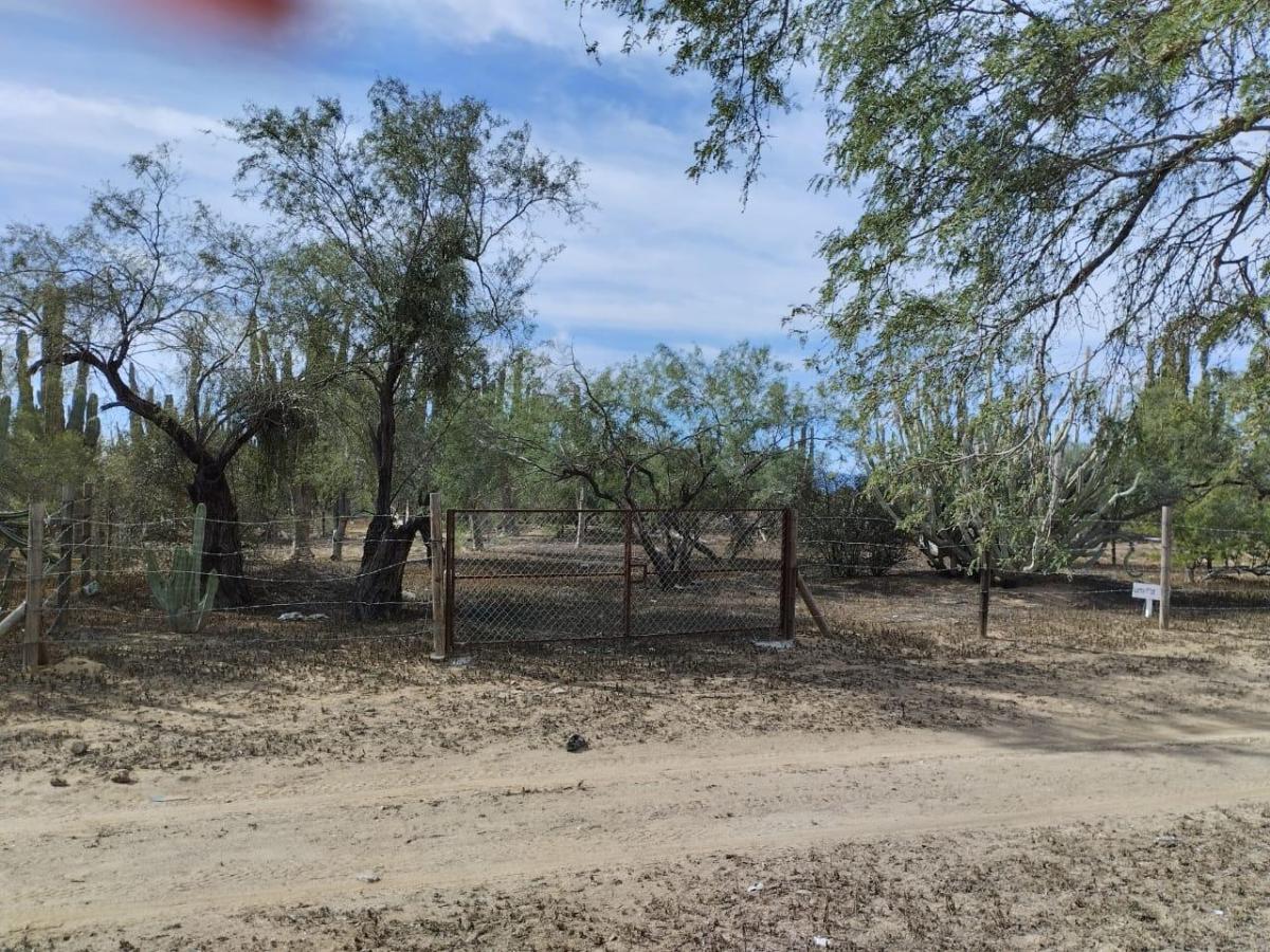 LAND IN AGUA AMARGA La Paz BCS MLS #26-1409 17 MLS #26-1409 image #0