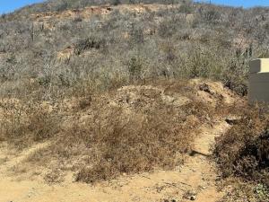 MLS #26-1486 image #0