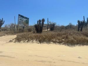 MLS #26-1487 image #0