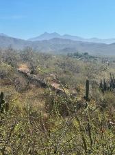 MLS #26-1488 image #0