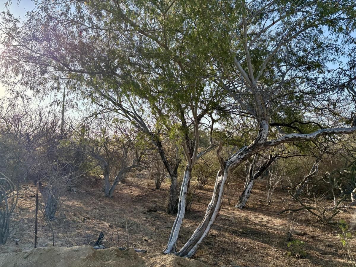 MLS #26-1495 image #0