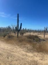 calle sin nombre Lote 2011 Pacific BCS MLS #26-1509 41 MLS #26-1509 image #0