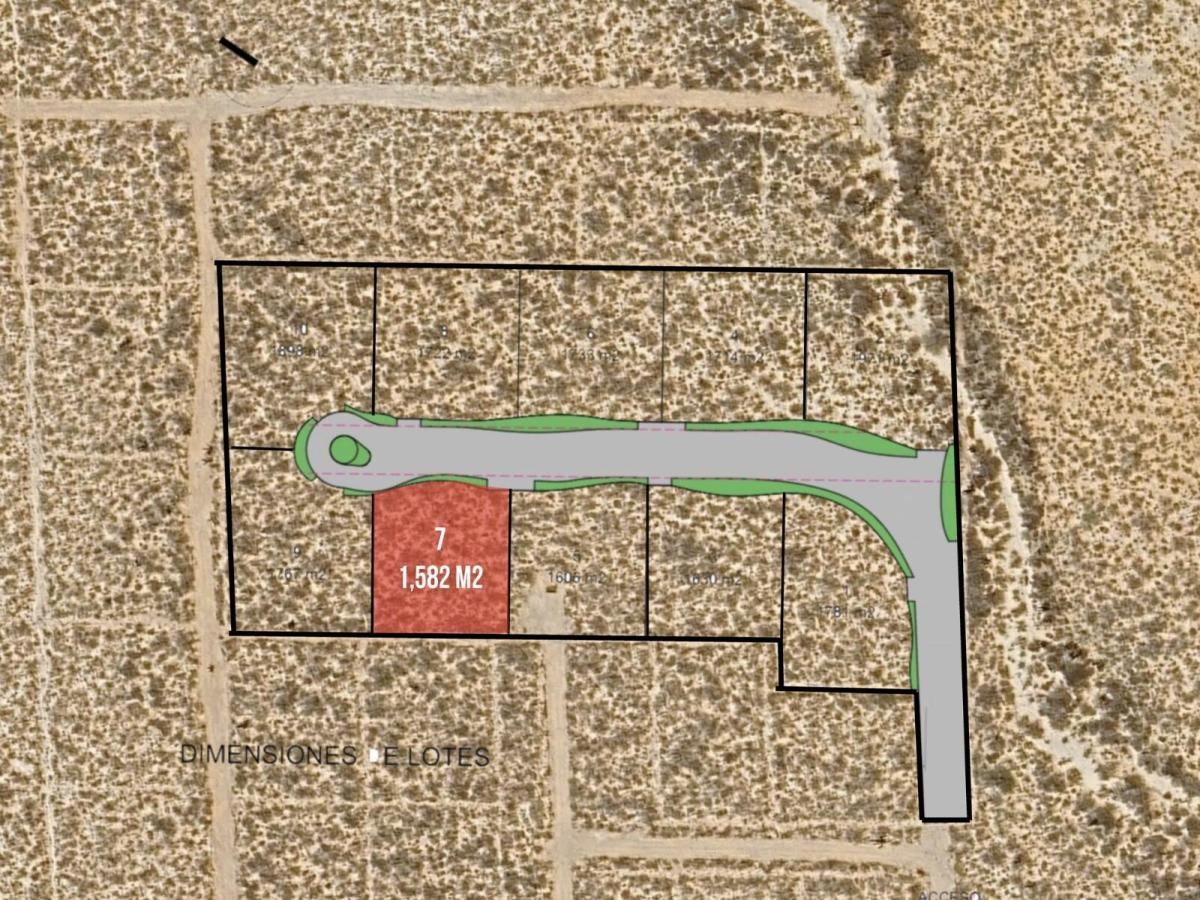 MLS #26-1585 image #0