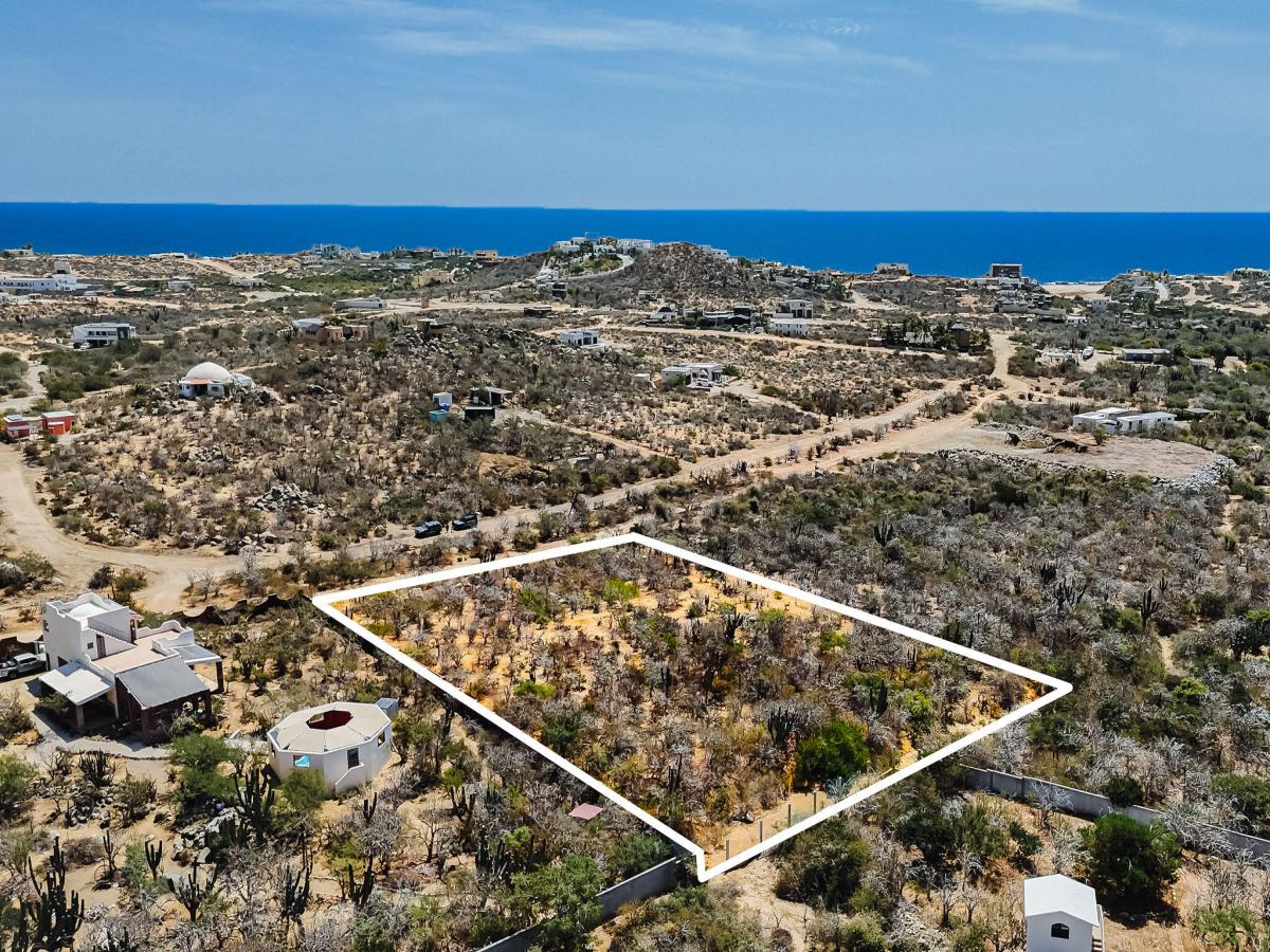 MLS #26-1647 image #0