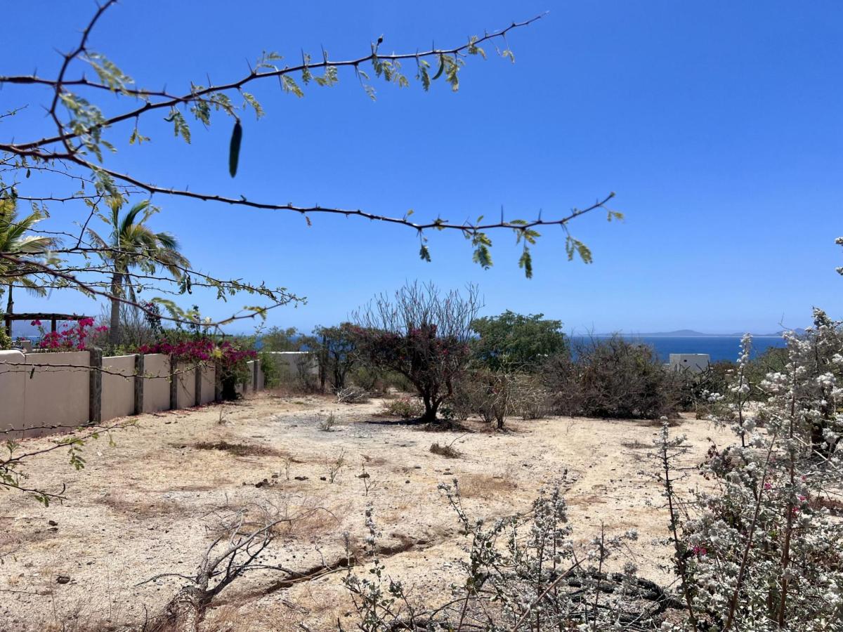 MLS #26-1669 image #0