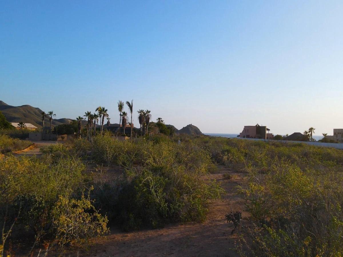 MLS #26-1681 image #0