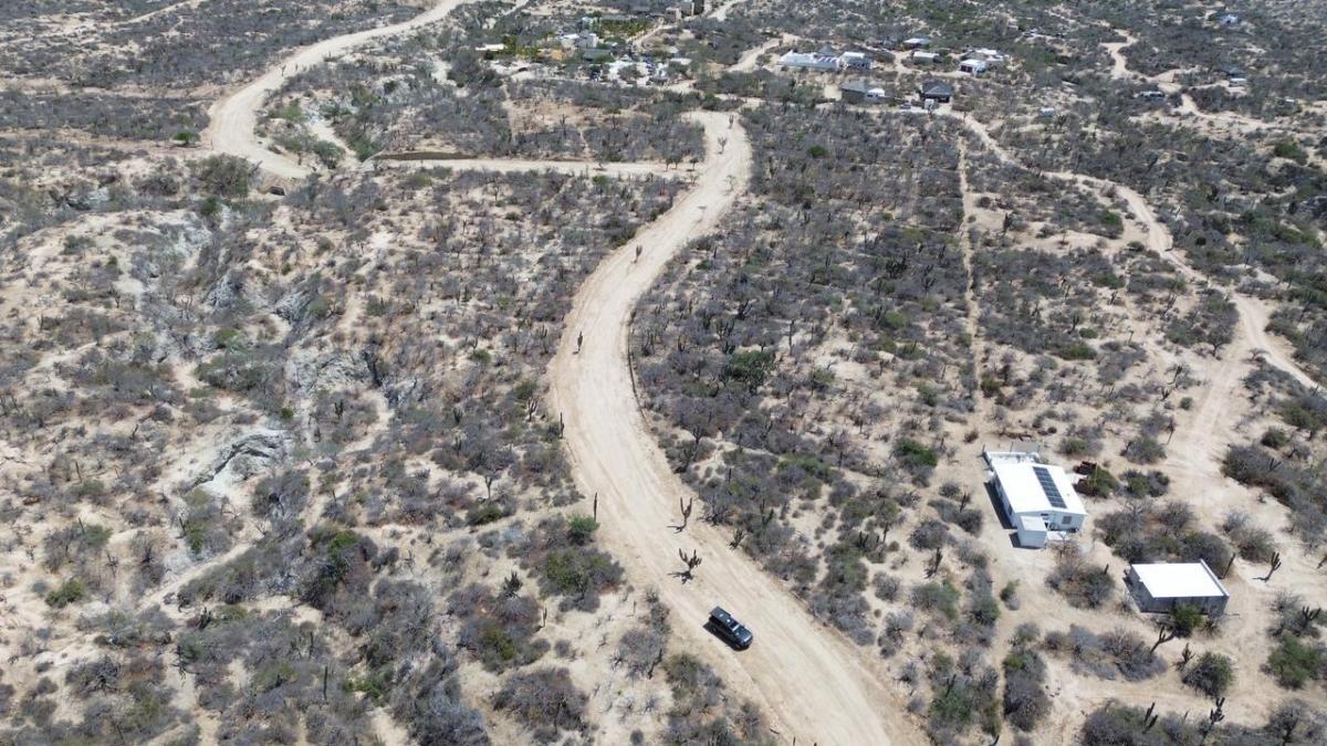 MLS #26-1686 image #0