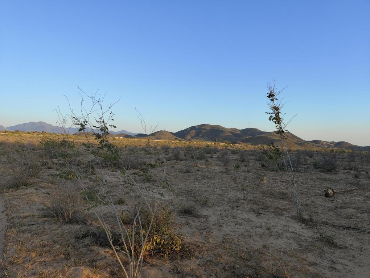 MLS #26-1690 image #0