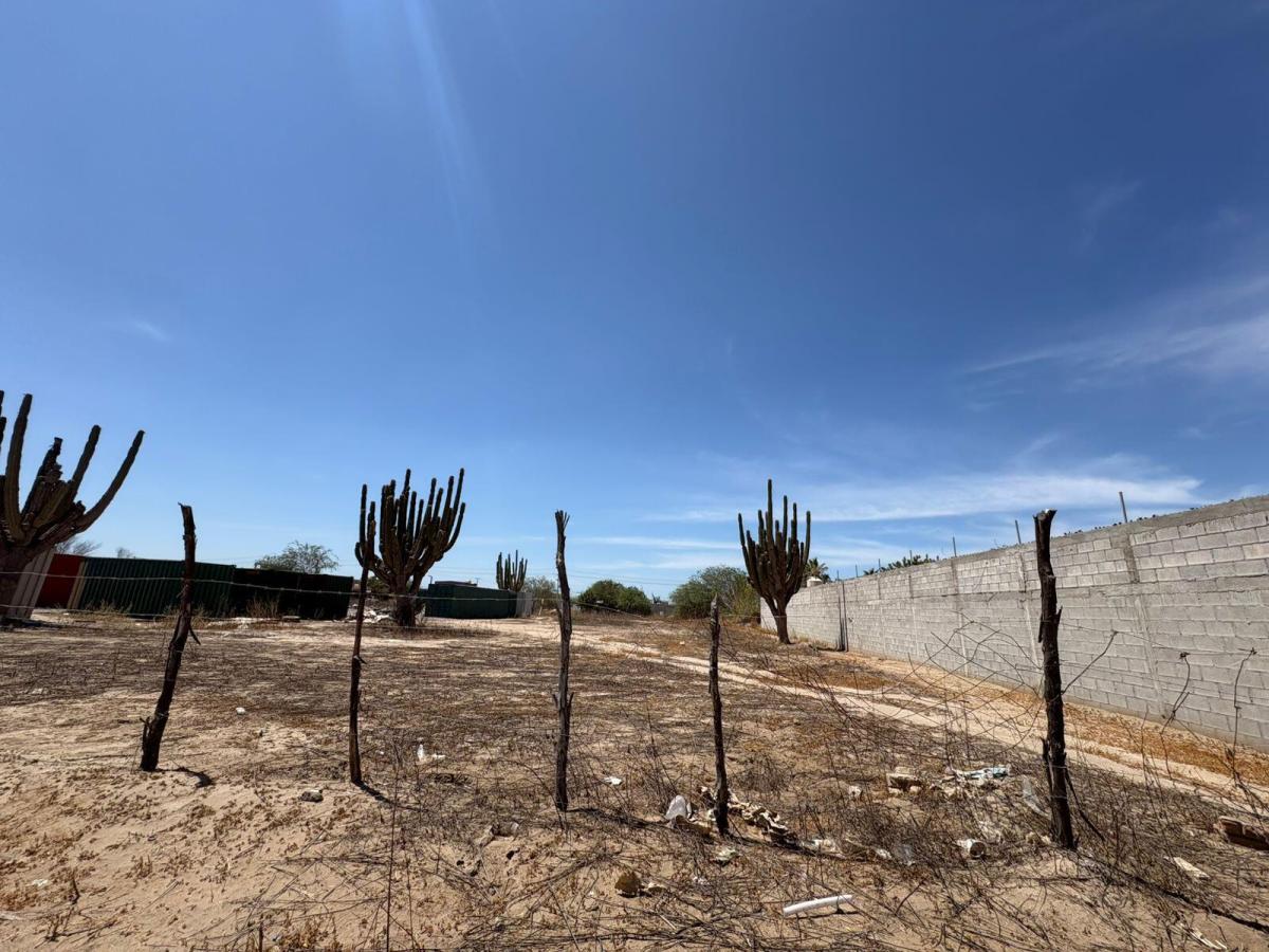 MLS #26-1719 image #0