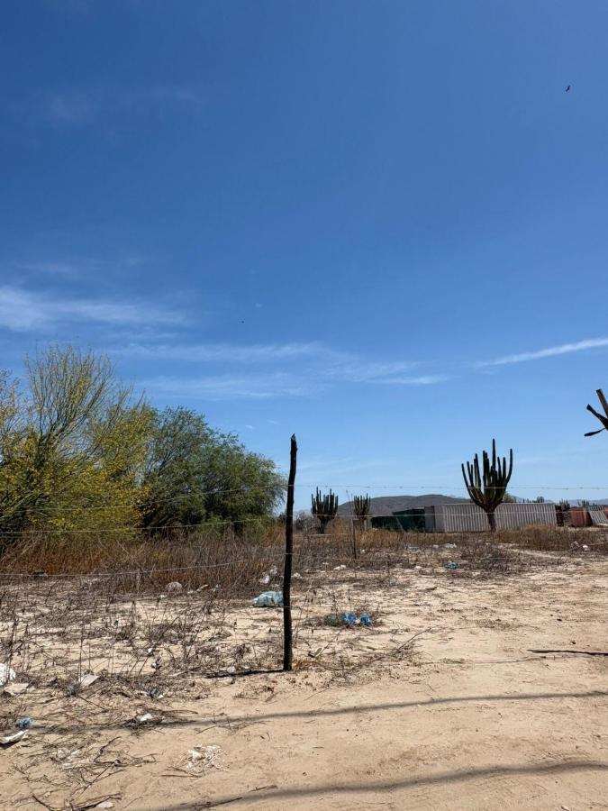 MLS #26-1721 image #0