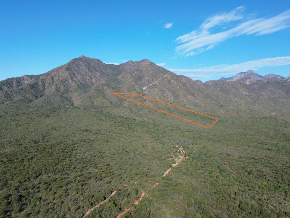 MLS #26-1726 image #0