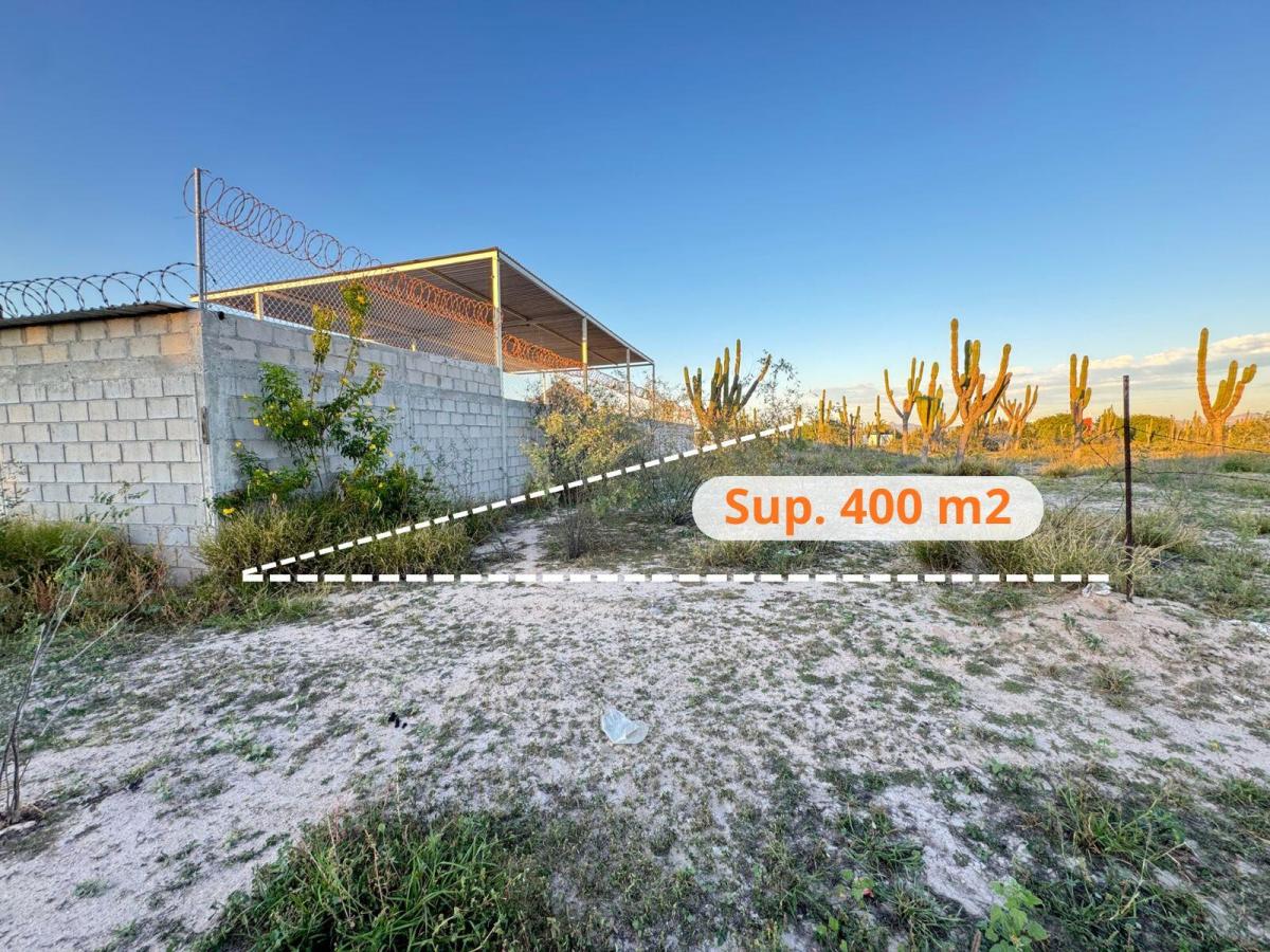 MLS #26-1752 image #0