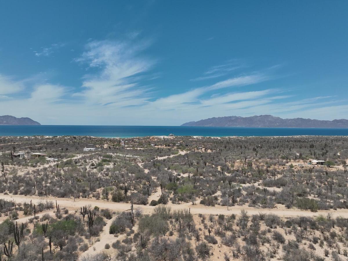 MLS #26-1753 image #0