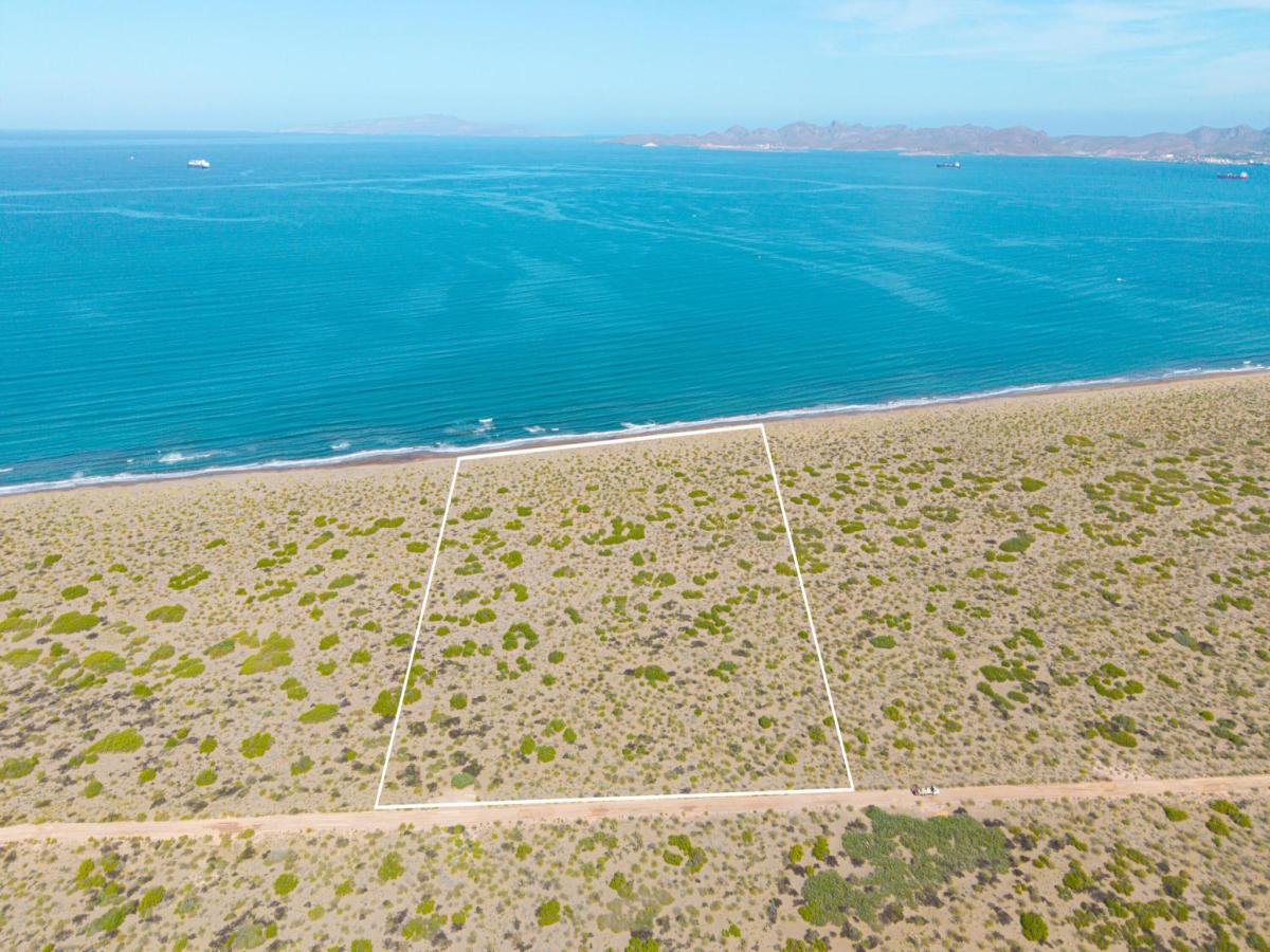 MLS #26-176 image #0