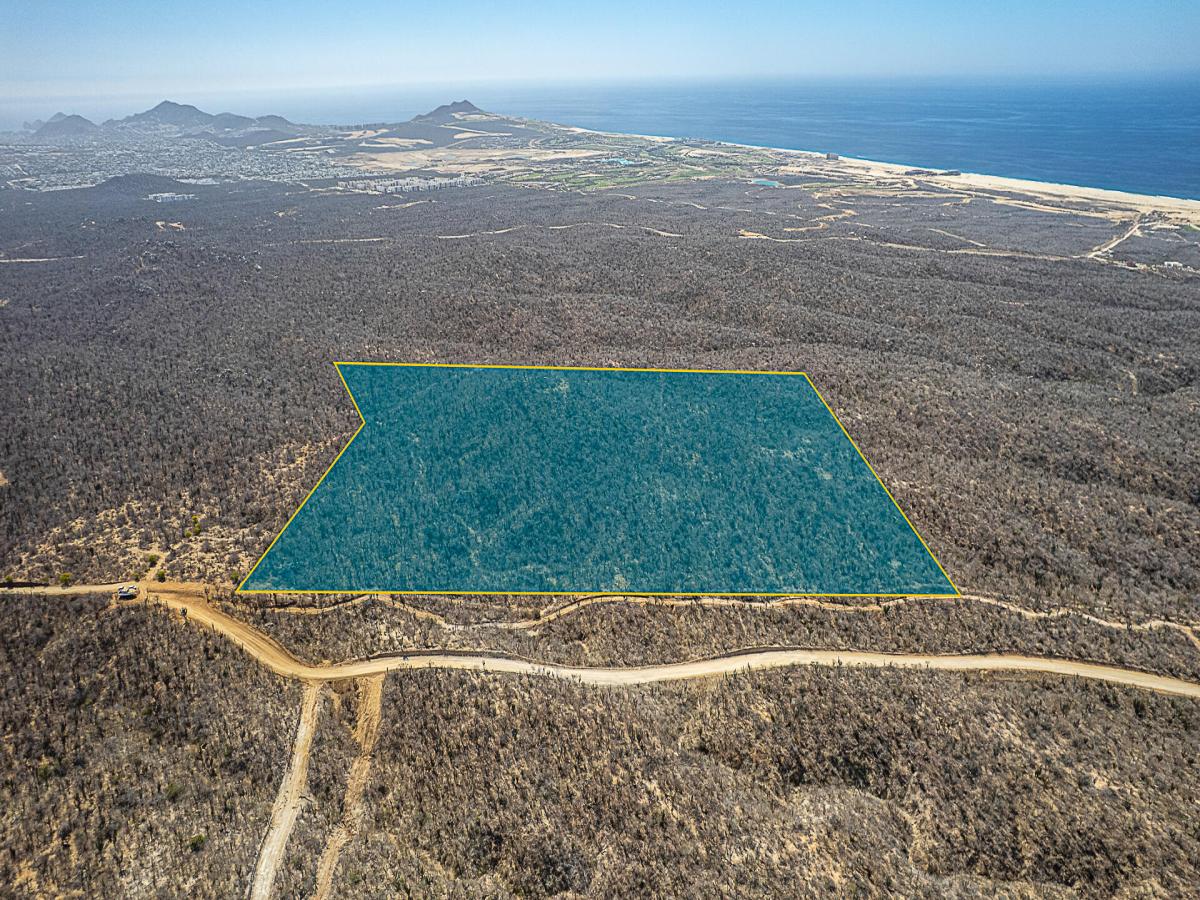 MLS #26-1767 image #0