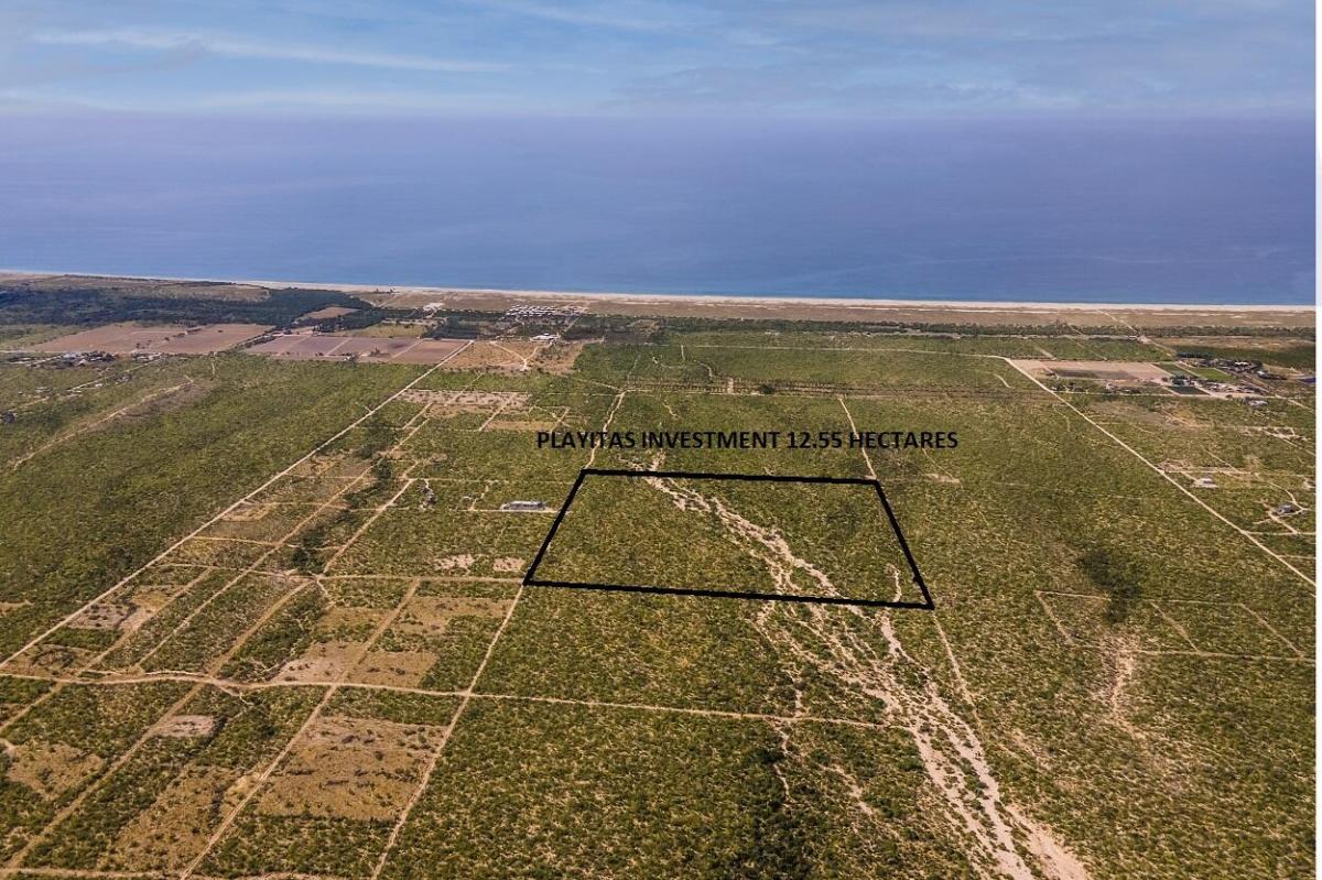 Playitas Investment 12.55 Has Las Playitas Pacific BCS MLS #26-1776 37 MLS #26-1776 image #0