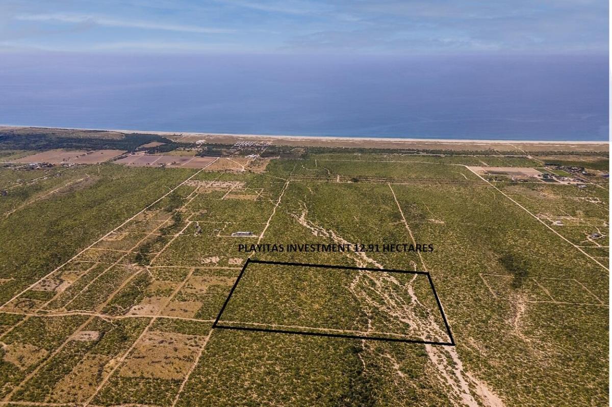 MLS #26-1777 image #0