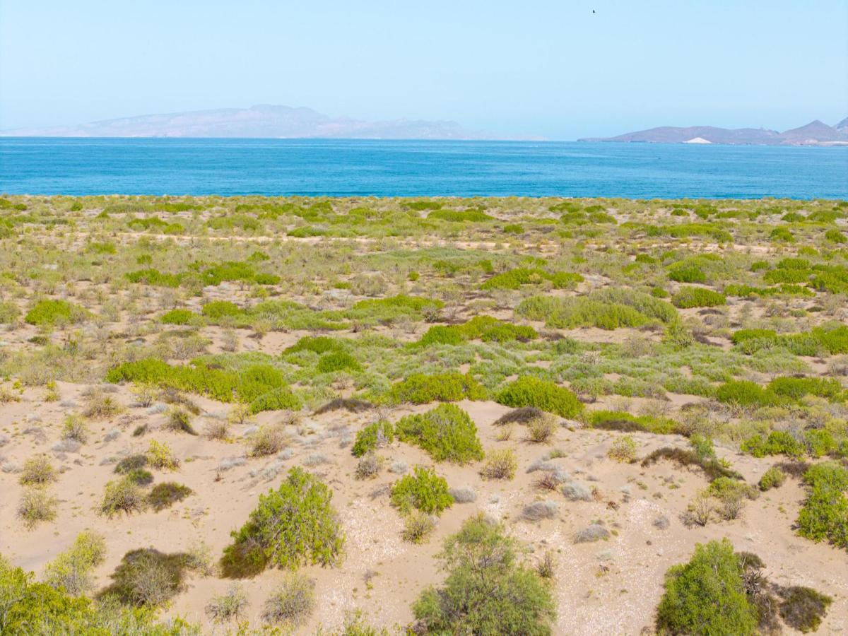 MLS #26-179 image #0