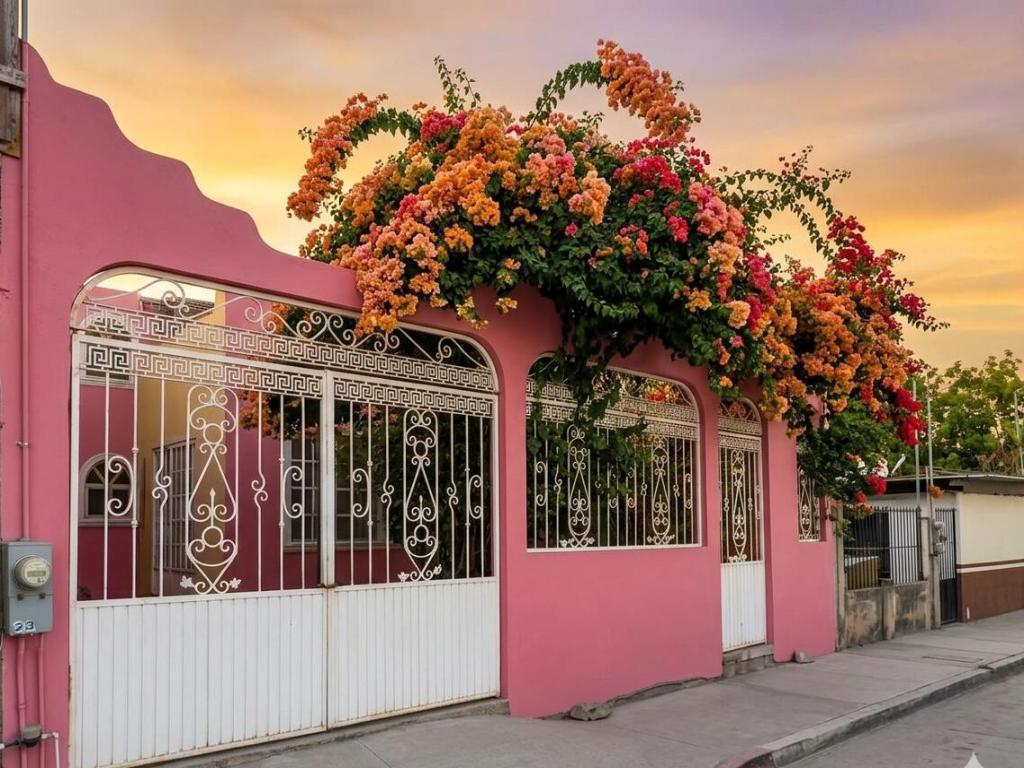 S/N Caracol CASA VENADOS Cabo San Lucas BCS MLS #26-1794 41 MLS #26-1794 image #0