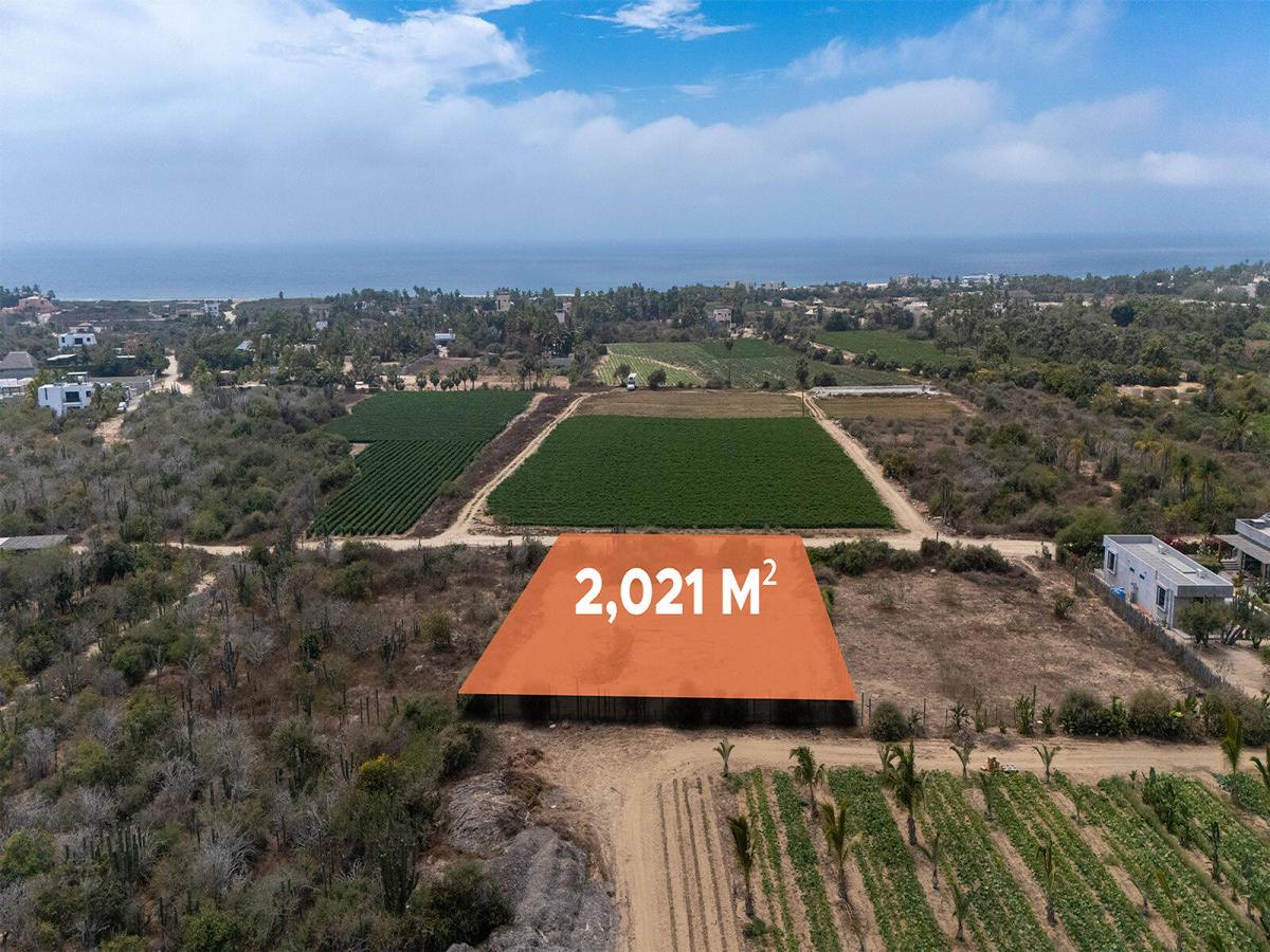 MLS #26-1828 image #0