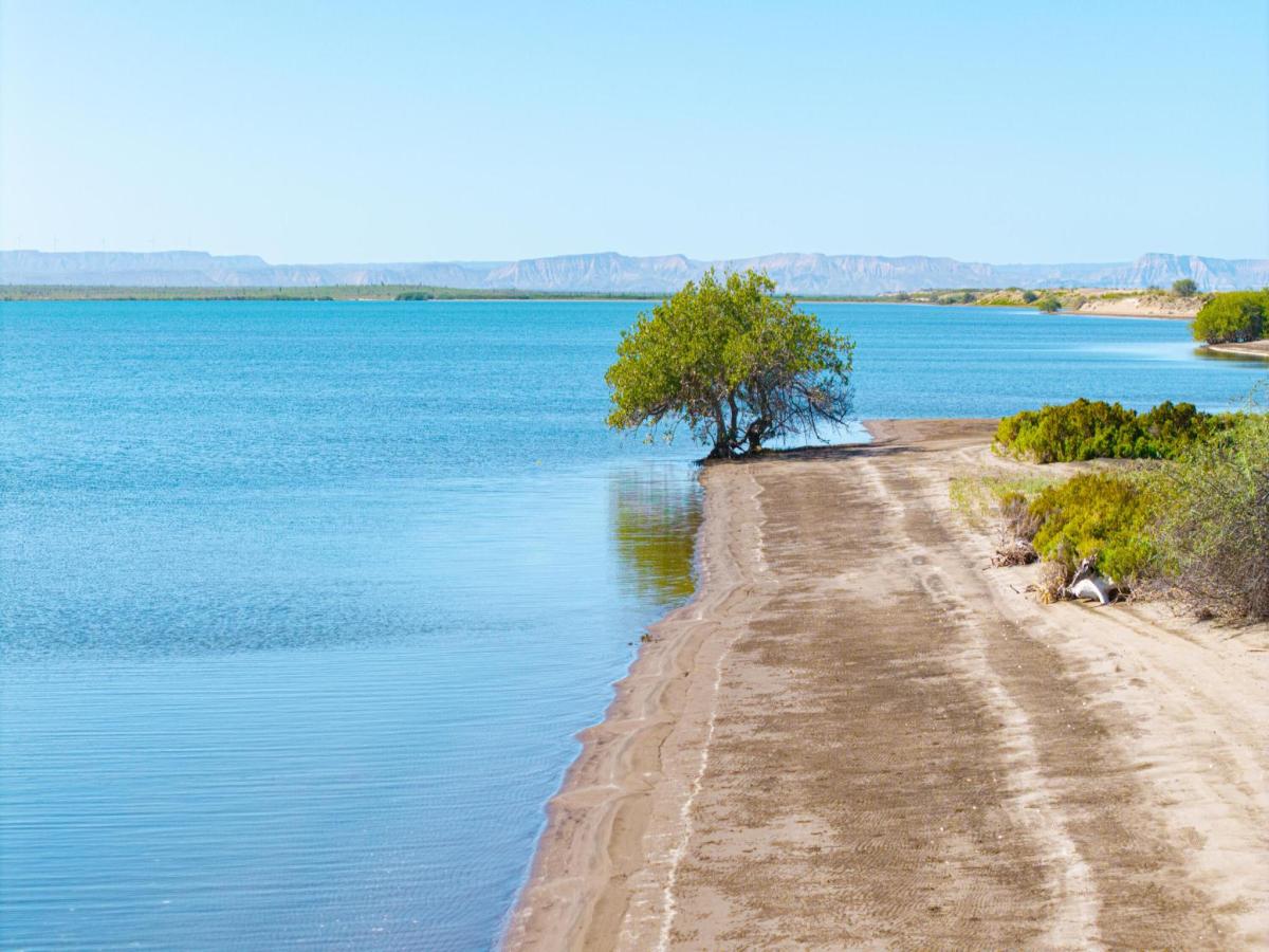 MLS #26-183 image #0