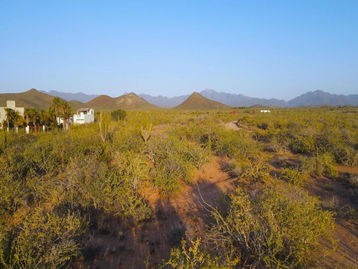 MLS #26-1851 image #0