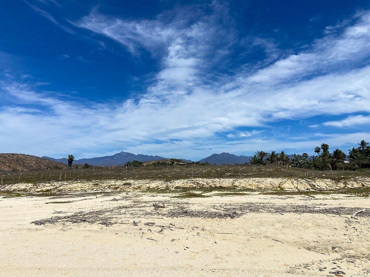 MLS #26-1879 image #0