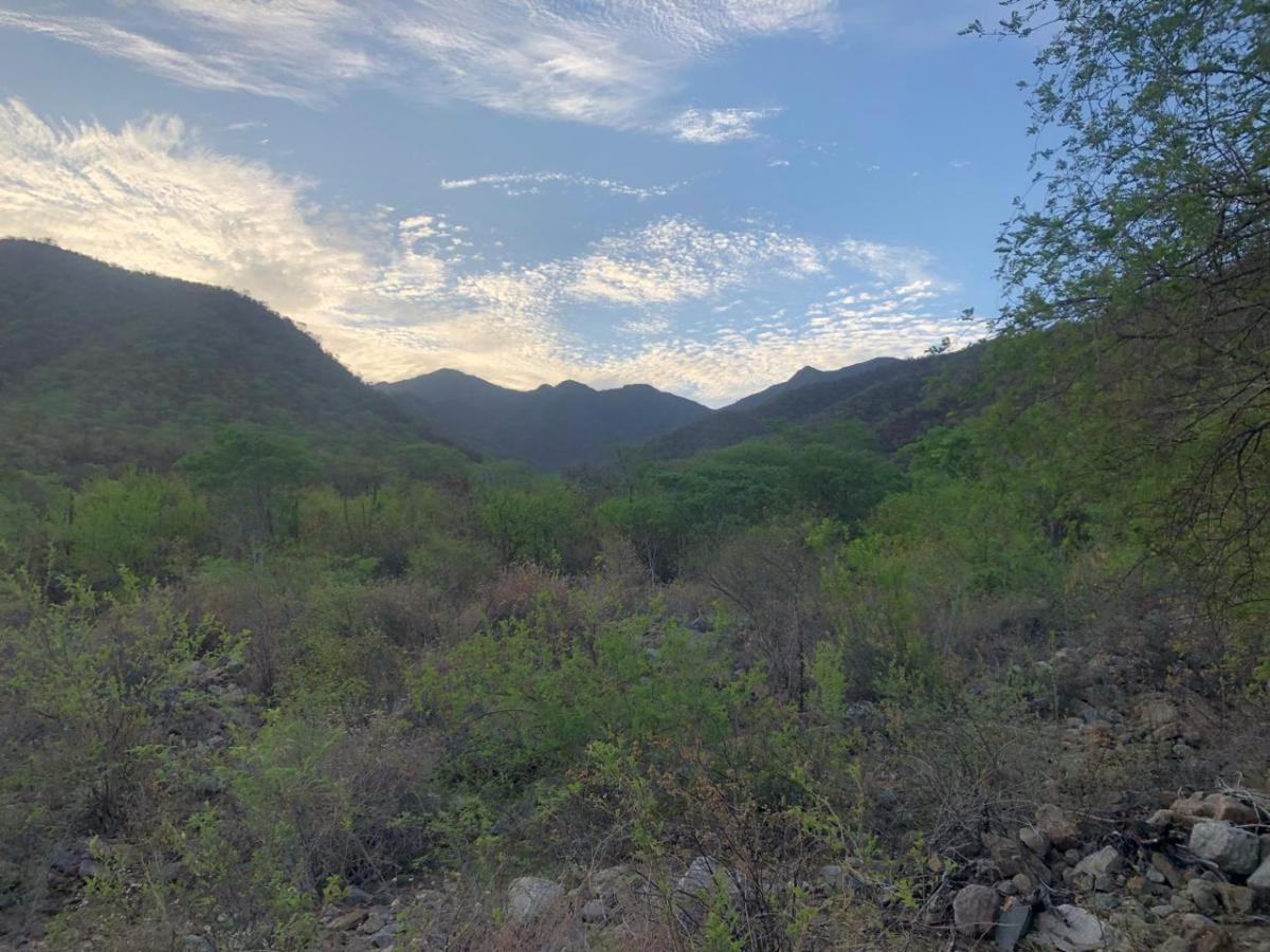 MLS #26-1906 image #0