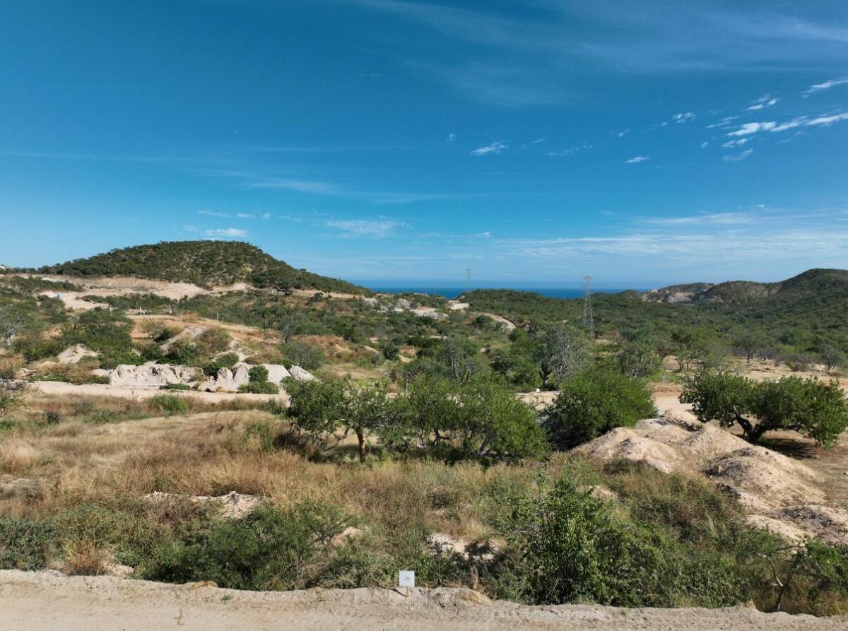 MLS #26-1920 image #0