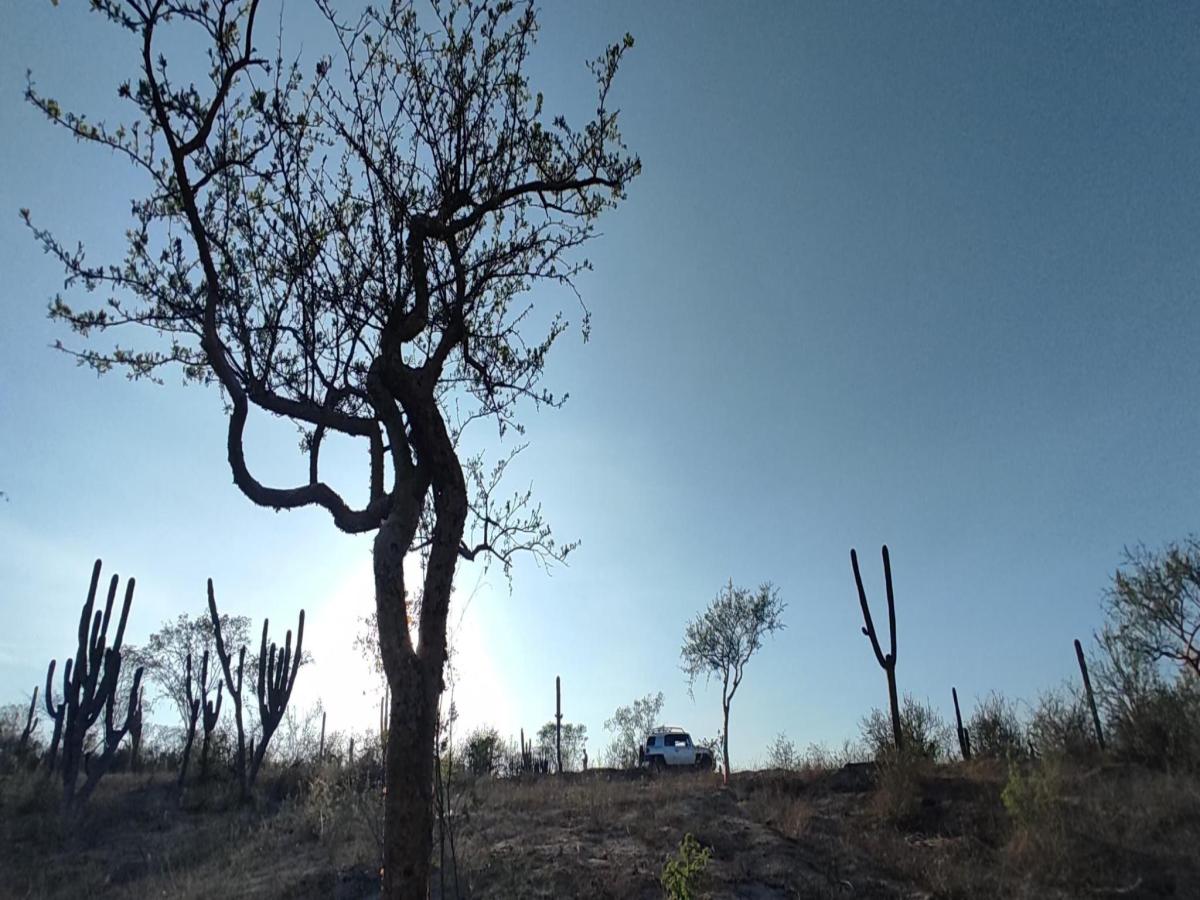 MLS #26-1935 image #0