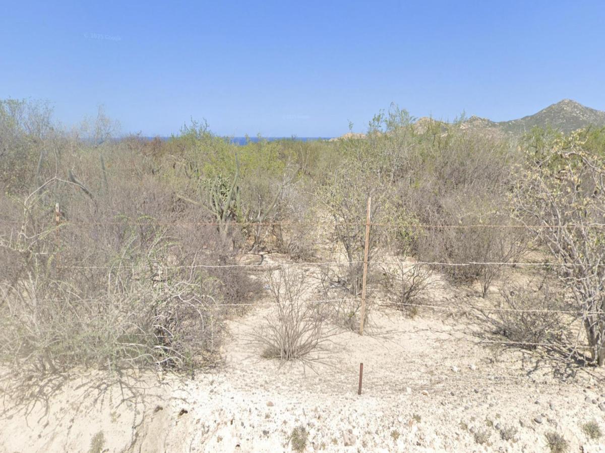 MLS #26-1961 image #0