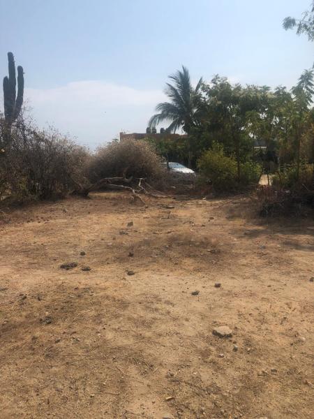 MLS #26-1975 image #0