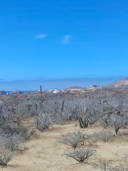 MLS #26-1978 image #0