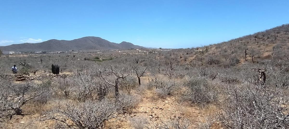 MLS #26-1980 image #0