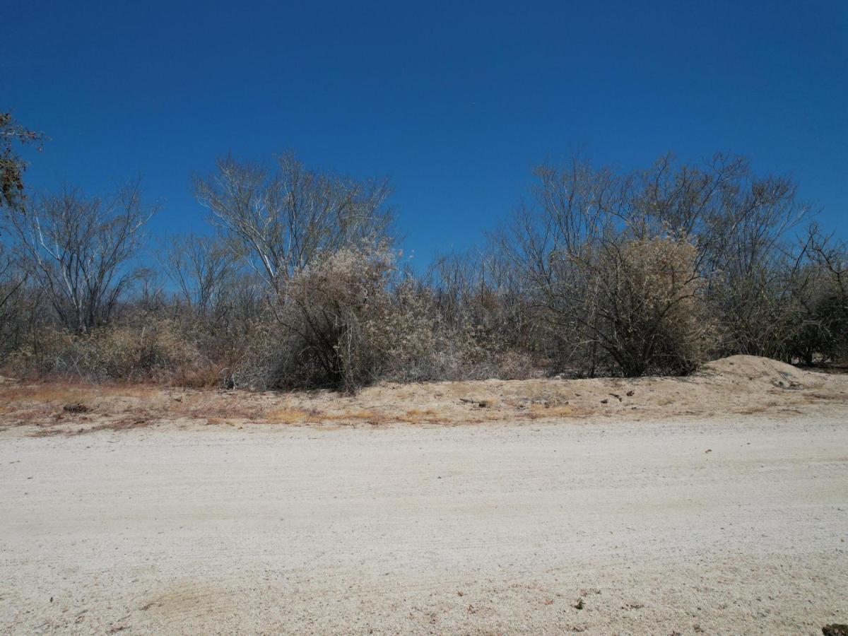 MLS #26-2050 image #0